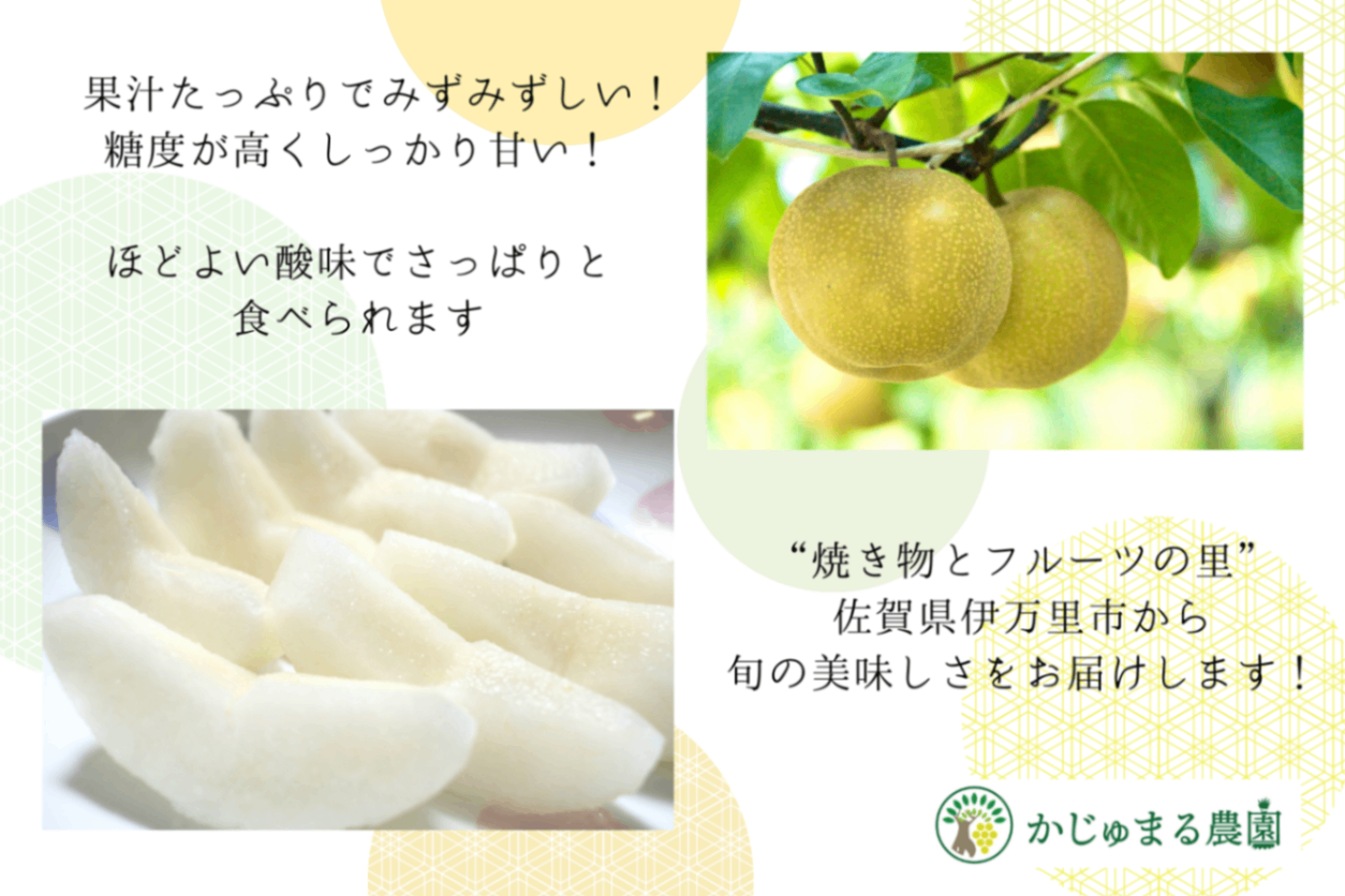 巨峰×豊水梨or秋月梨✨期間限定のかじゅまる農園の自信作セット 2.5kg
