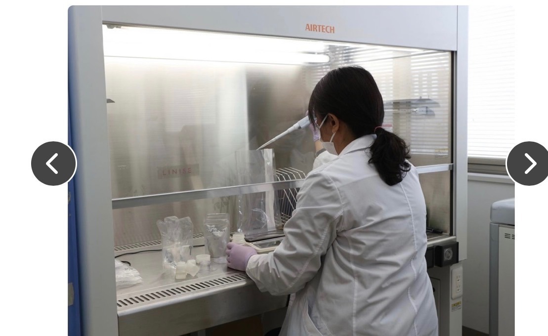 シワ改善美容液♡プルプル肌へ導く
ハリや弾力を与える重要な成分高配合の美容液