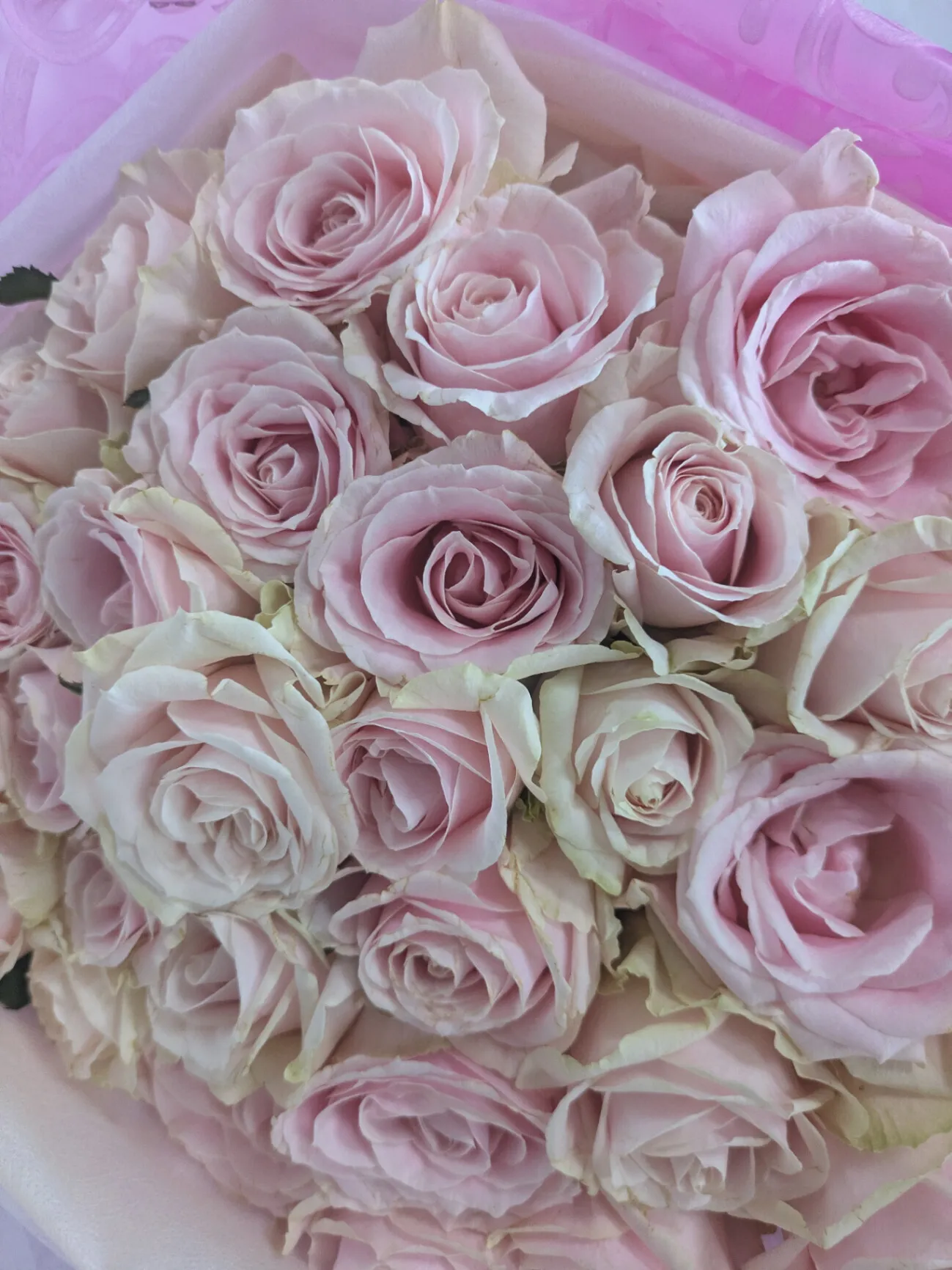★沖縄限定配達★プロポーズにピンク系バラ30本の花束・沖縄のホテルに配達