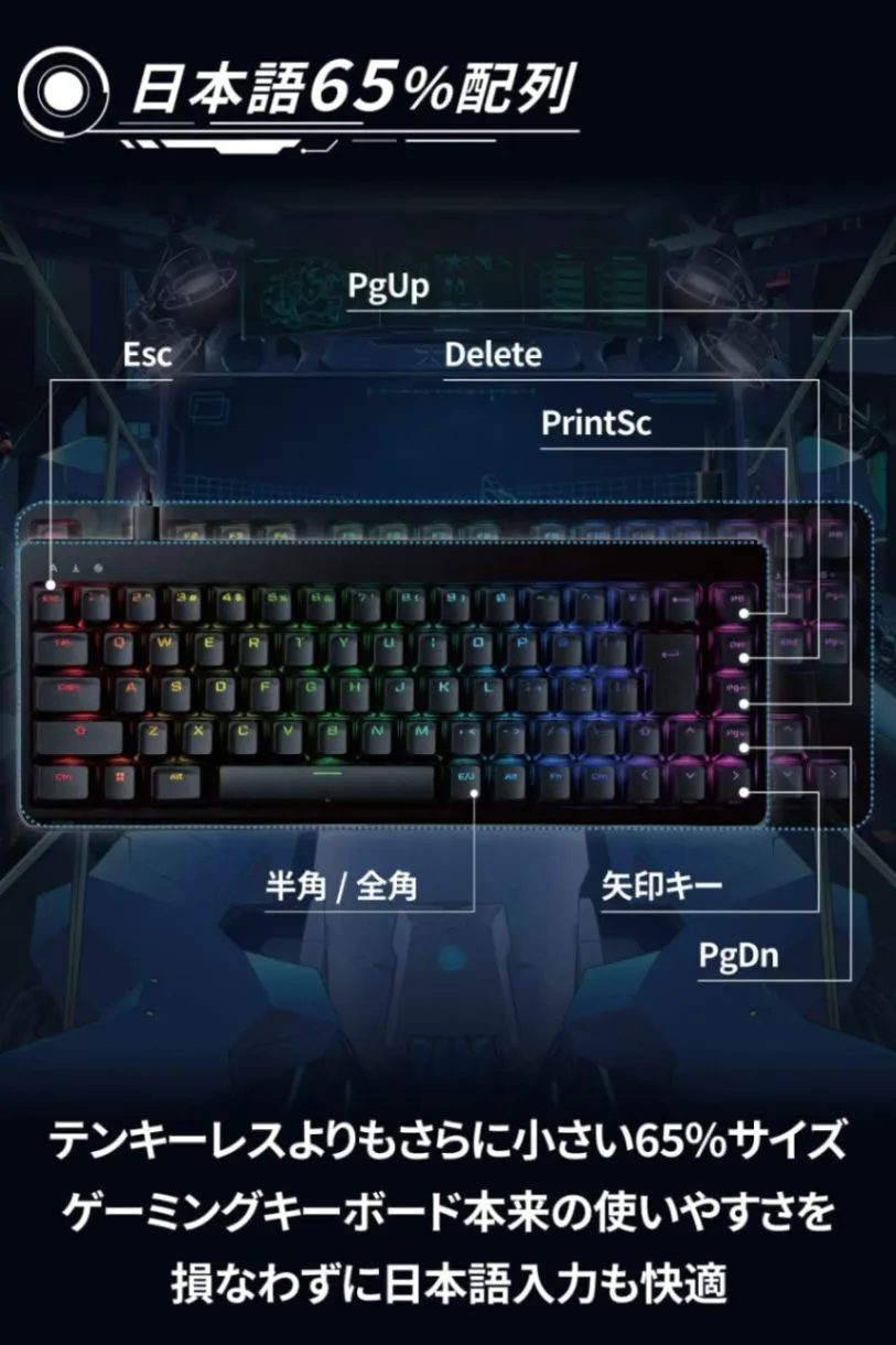 エレコム ゲーミングキーボード 有線 V-custom VK300S RGB テンキーレス 65%