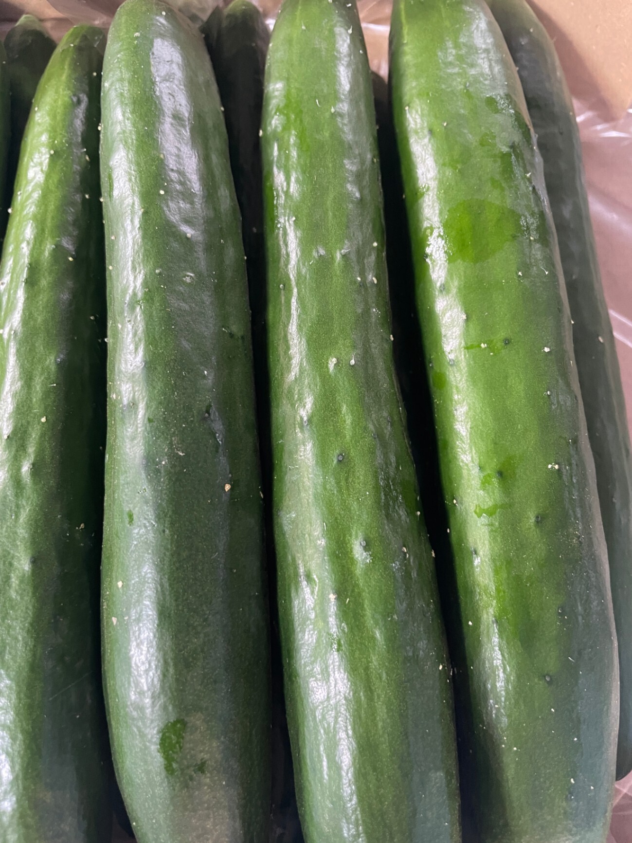 まっすぐ夏きゅうり🥒　約２５本（約3.5kg）　長さは色々になります