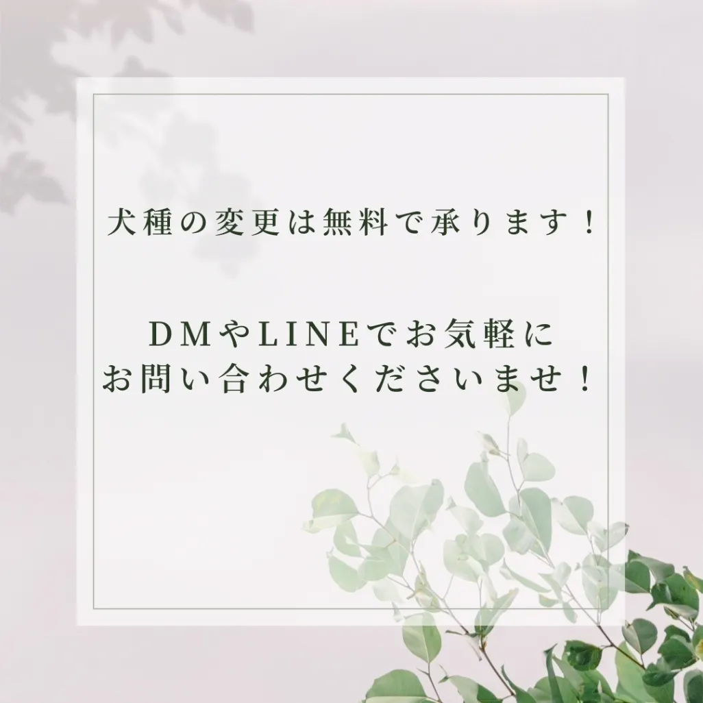 しっぽがゆれる！ふりふりわんこ時計_ボーダーコリー｜リベシティ市場