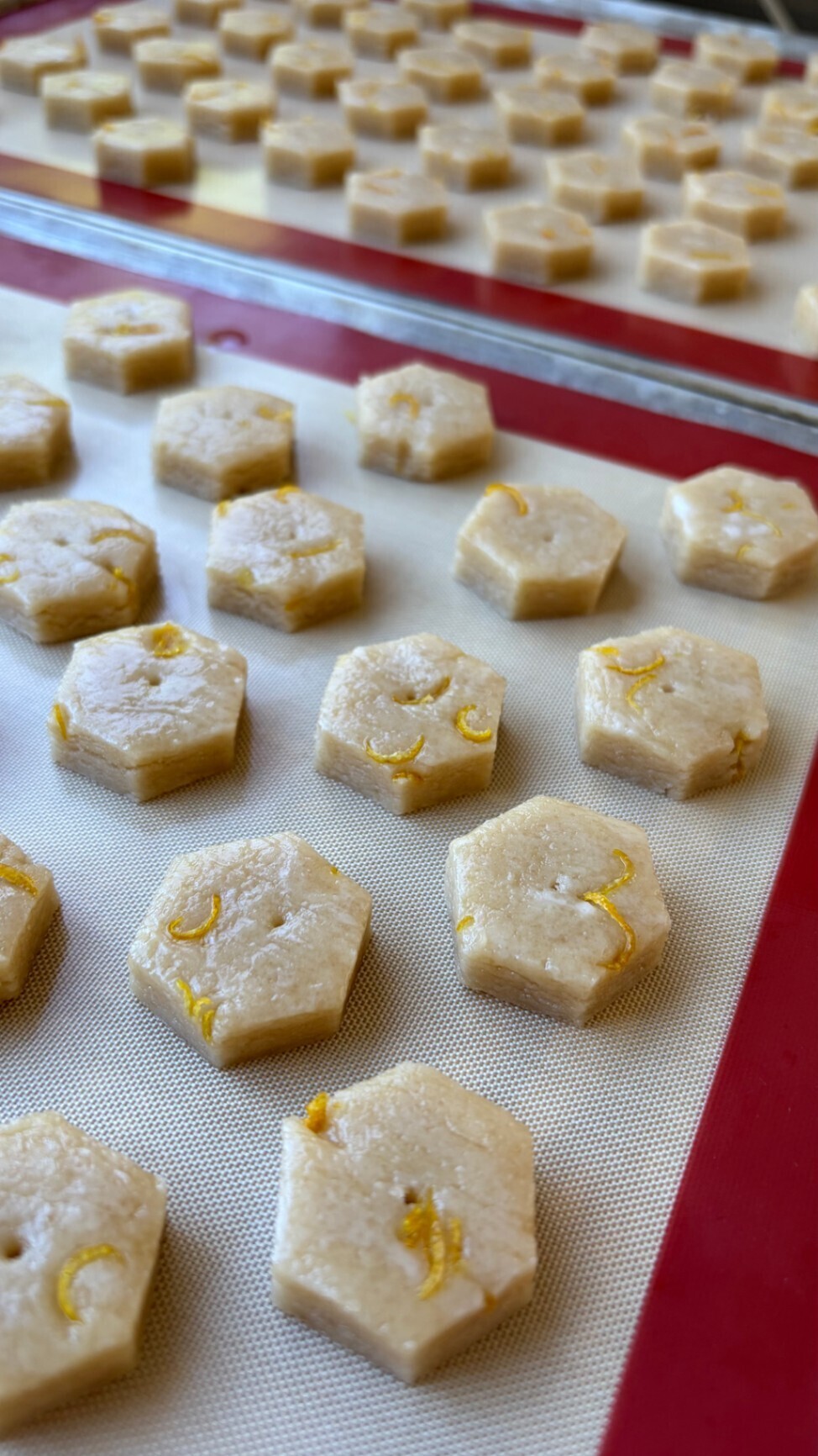 まずはお試し🐿️　/// 当店1番人気 のザクザクナッツクッキー＆季節限定レモンソルト🍋///