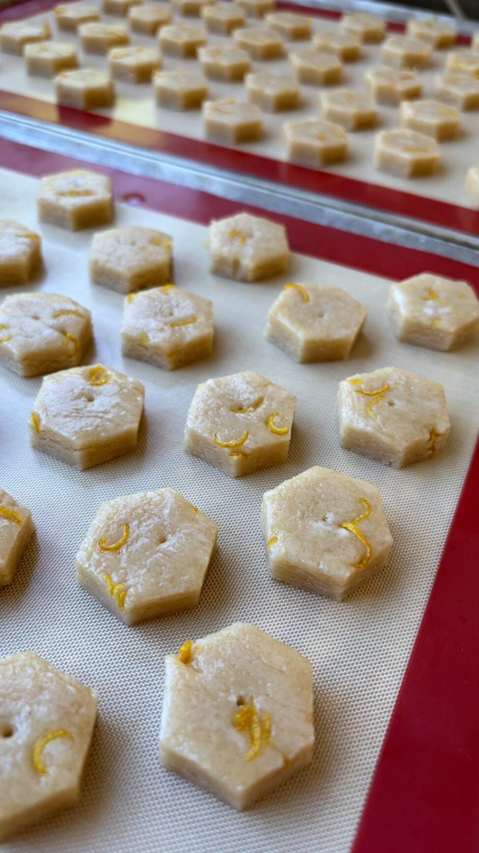 【季節限定】🍋レモンソルトクッキー　（3個入り×３包）　-ヴィーガン-