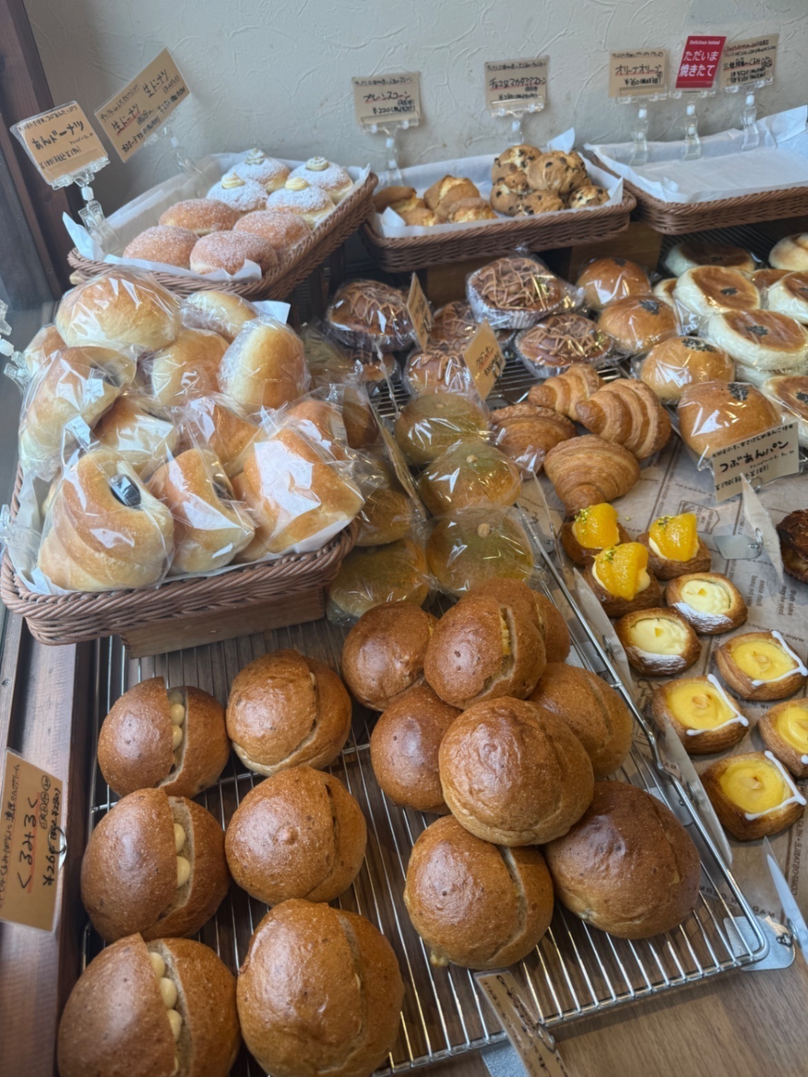 🍞【🉐キノコリスト🍄】太陽光パン練る🍞