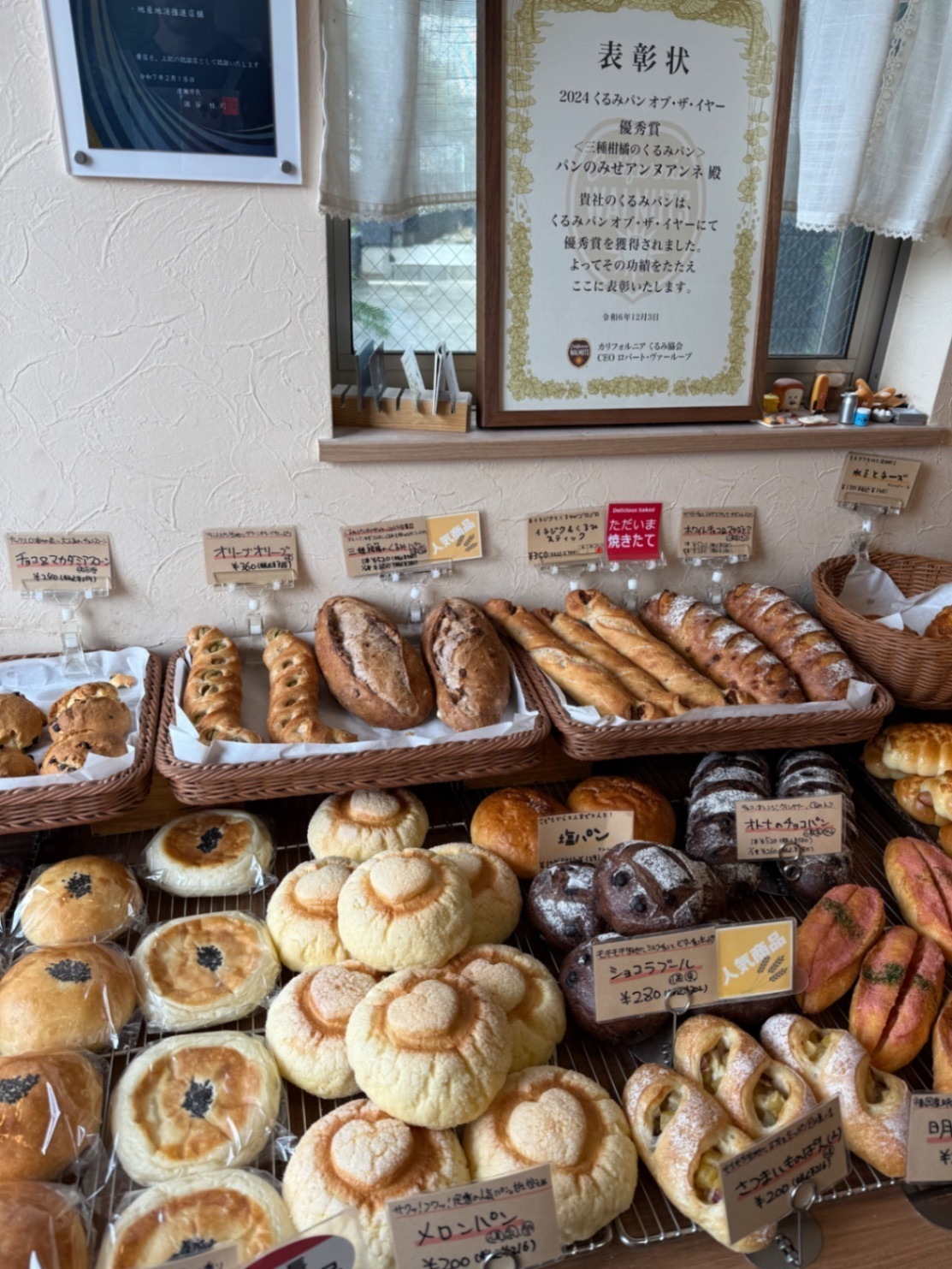 🍞【🉐キノコリスト🍄】太陽光パン練る🍞