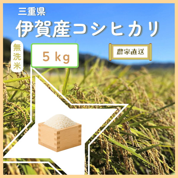 【無洗米】5キロ　令和７年産 三重県伊賀産コシヒカリ