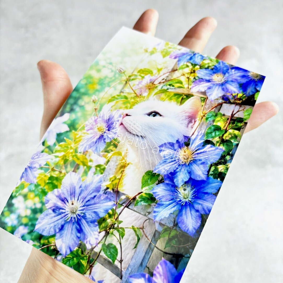 【白猫とクレマチス】猫 アート ポートレート 銀塩プリント フォトスタンド付き 送料無料