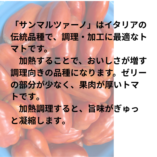 トマトピューレ　３個セット（瓶350g×2）長野県産サンマルツァーノ使用