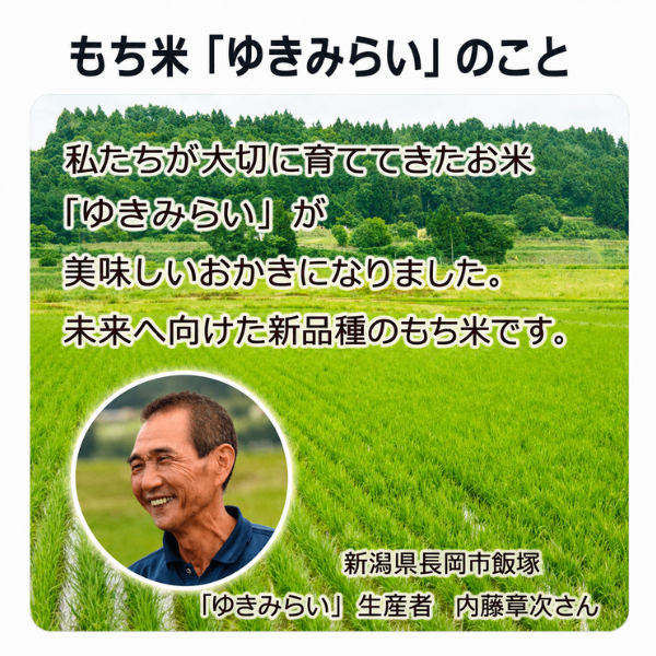 新潟県産 もち米 ゆきみらい おもち揚げ おかき 65g 2袋セット エシカル商品 福祉