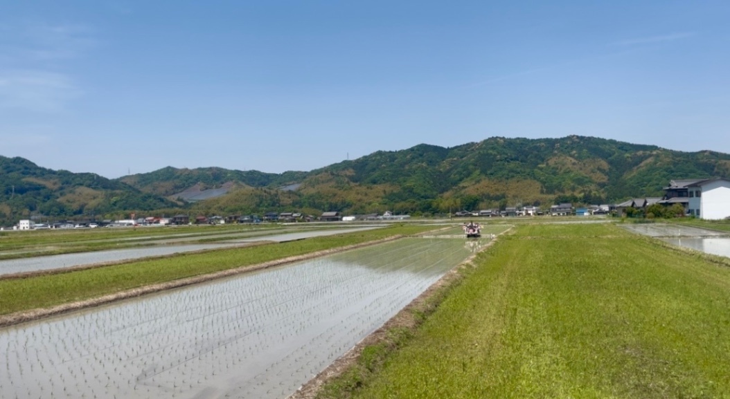 《予約令和8年産》コシヒカリ　玄米30kg（9月発送）10袋限定