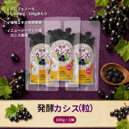 発酵カシス（粒）100g×3袋｜発酵ドライフルーツ｜発酵果実｜おやつ感覚で発酵×ポリフェノール習慣
