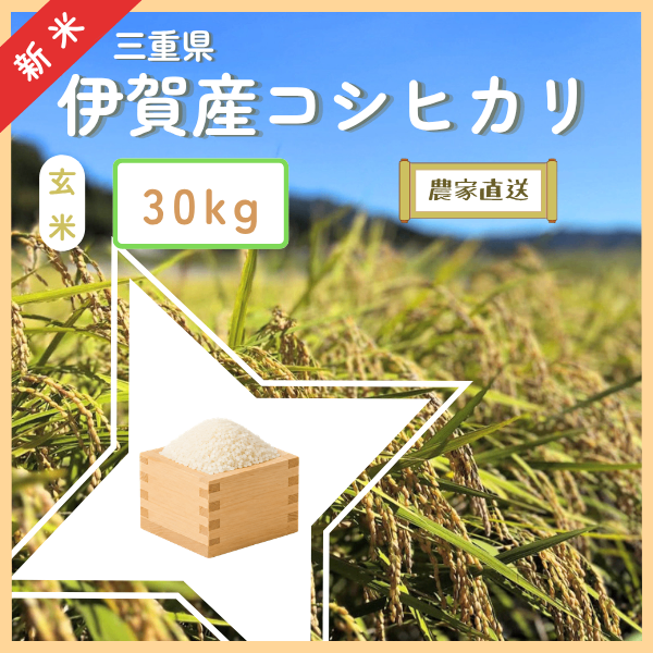 【予約販売　限定価格】令和８年産 新米 三重県伊賀産コシヒカリ 【玄米】30キロ