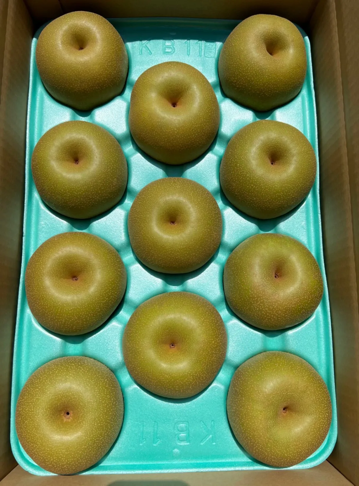あきづき　梨5kg