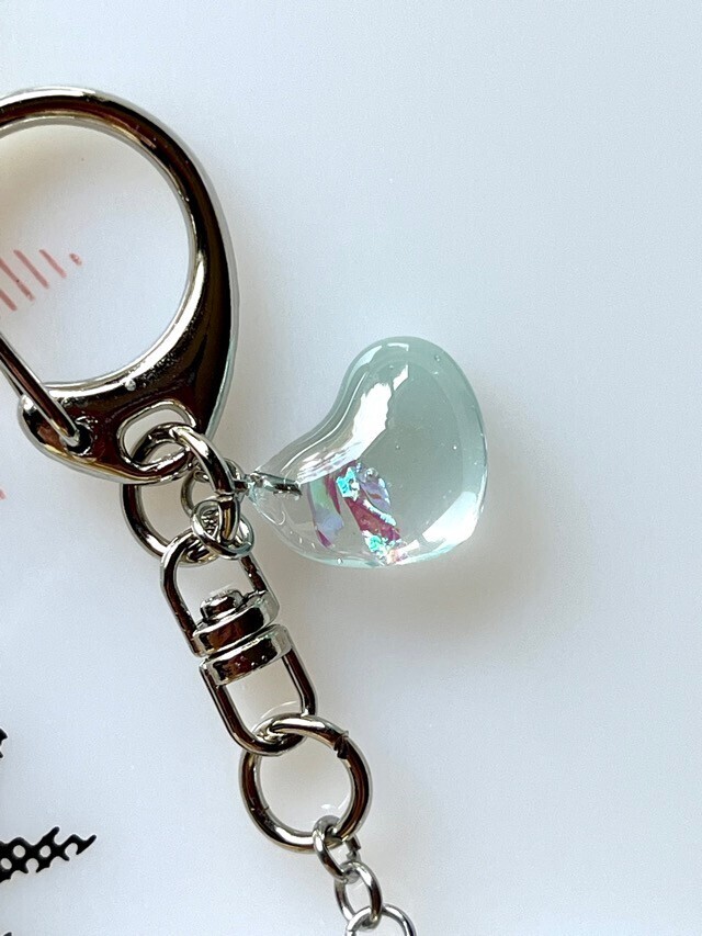 イルカ🐬シャカシャカキーホルダー【リベポ払歓迎🎉】