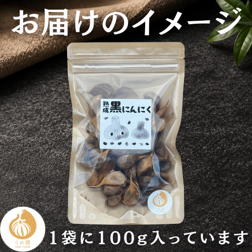 【まるでフルーツ！】うめのう 熟成黒にんにく 100g
