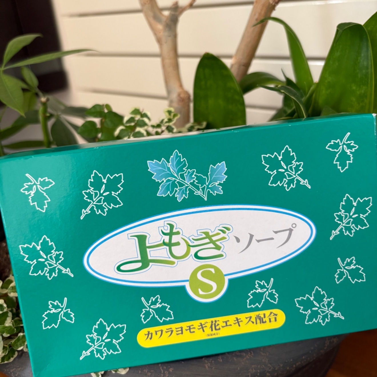 送料込み🌿無添加ヨモギ石鹸
看護士さんと一緒に開発した、やさしい石けん
