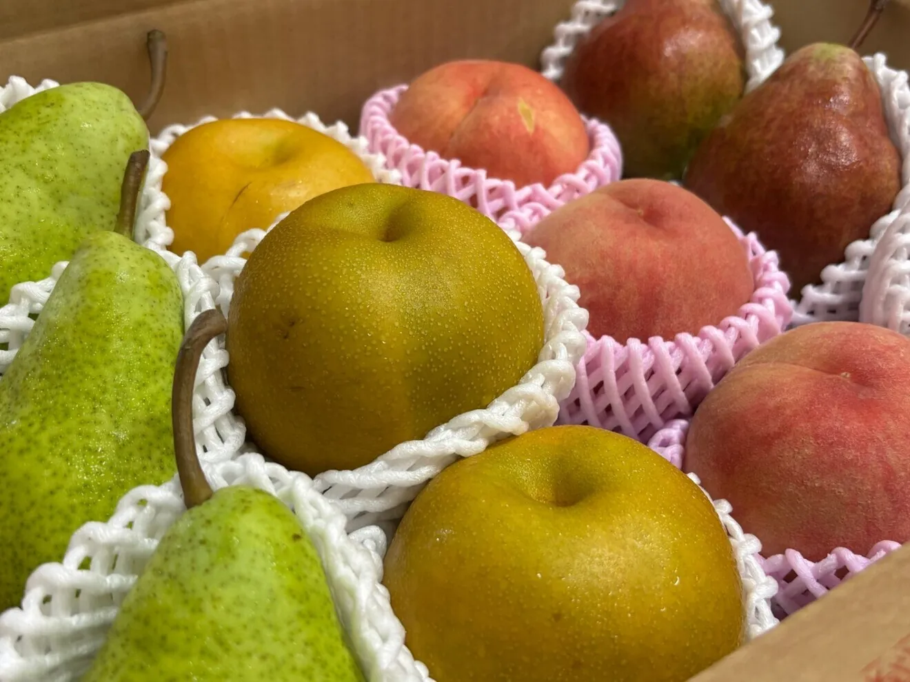 【洋梨発育中のため売切】東根産 桃・和梨・洋梨2種 食べ比べ12個