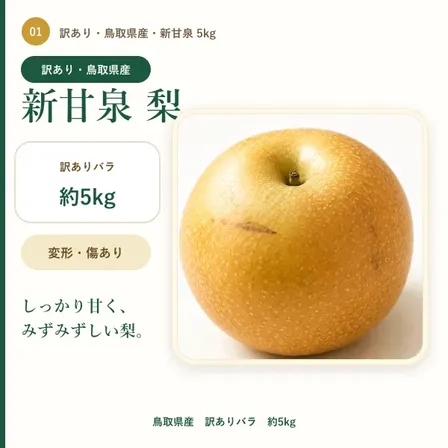 【訳あり・鳥取県産】新甘泉（しんかんせん）梨 約5kg｜傷・変形あり｜ご家庭用