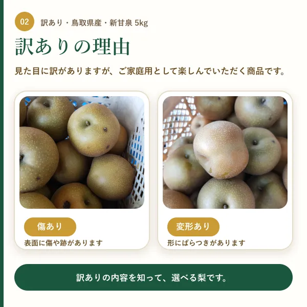 【訳あり・鳥取県産】新甘泉（しんかんせん）梨 約5kg｜傷・変形あり｜ご家庭用