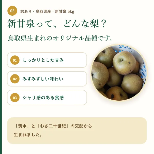 【訳あり・鳥取県産】新甘泉（しんかんせん）梨 約5kg｜傷・変形あり｜ご家庭用