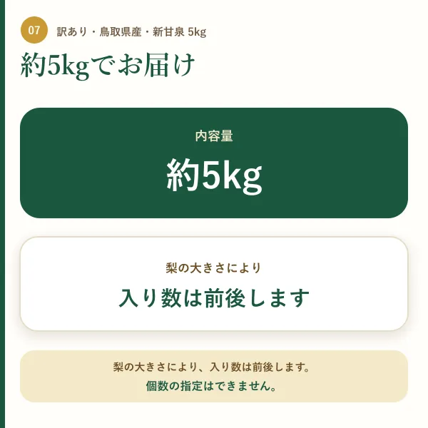 【訳あり・鳥取県産】新甘泉（しんかんせん）梨 約5kg｜傷・変形あり｜ご家庭用