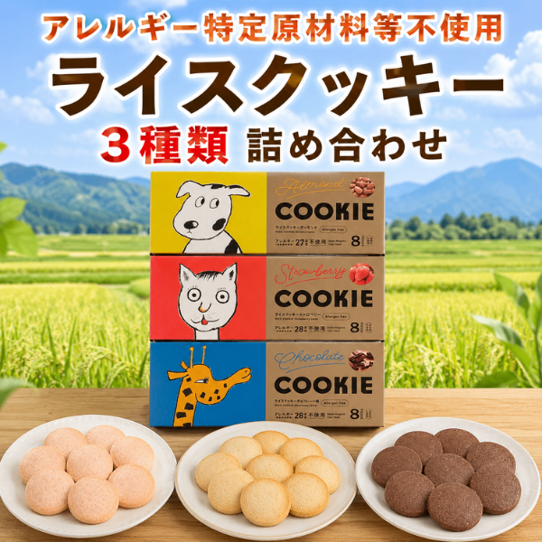 アレルギー特定原材料等不使用 ライスクッキー ３種類 おまとめパック 非常食にも◎