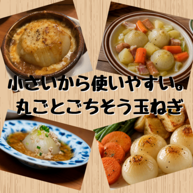 【10月上旬発送予約販売】北海道産農家直送小さめ玉ねぎ10kg（Mサイズ）
