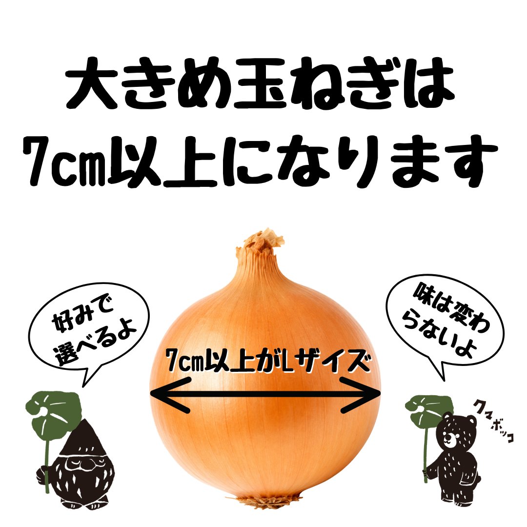 【10月上旬発送予約販売】北海道産農家直送大きめ玉ねぎ5kg（Lサイズ以上）