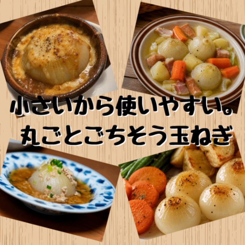 【10月上旬発送予約販売】北海道産農家直送小さめ玉ねぎ5kg（Mサイズ）