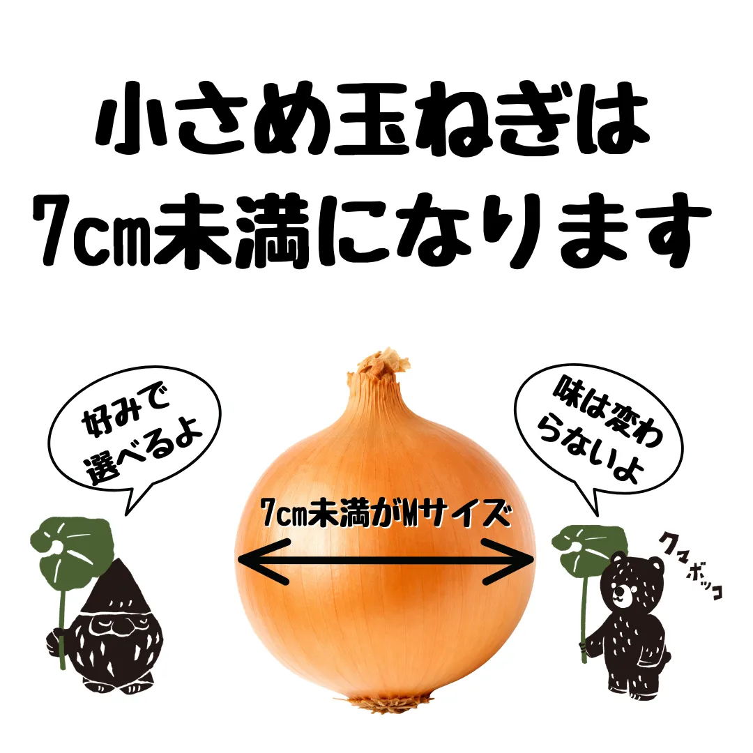 北海道産農家直送小さめ玉ねぎ20kg（Mサイズ）