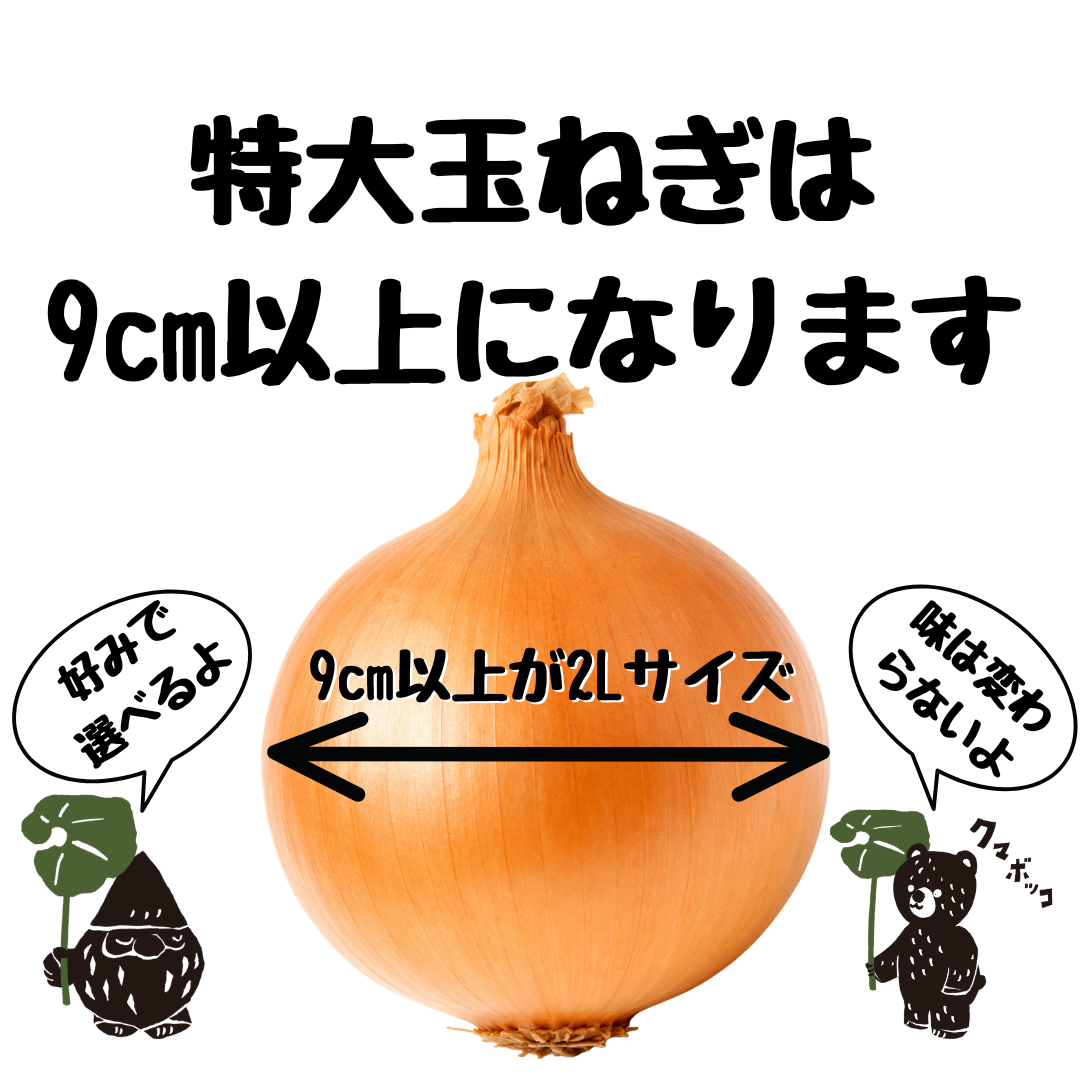 【10月上旬発送予約販売】北海道産農家直送特大玉ねぎ20kg（2Lサイズ以上）