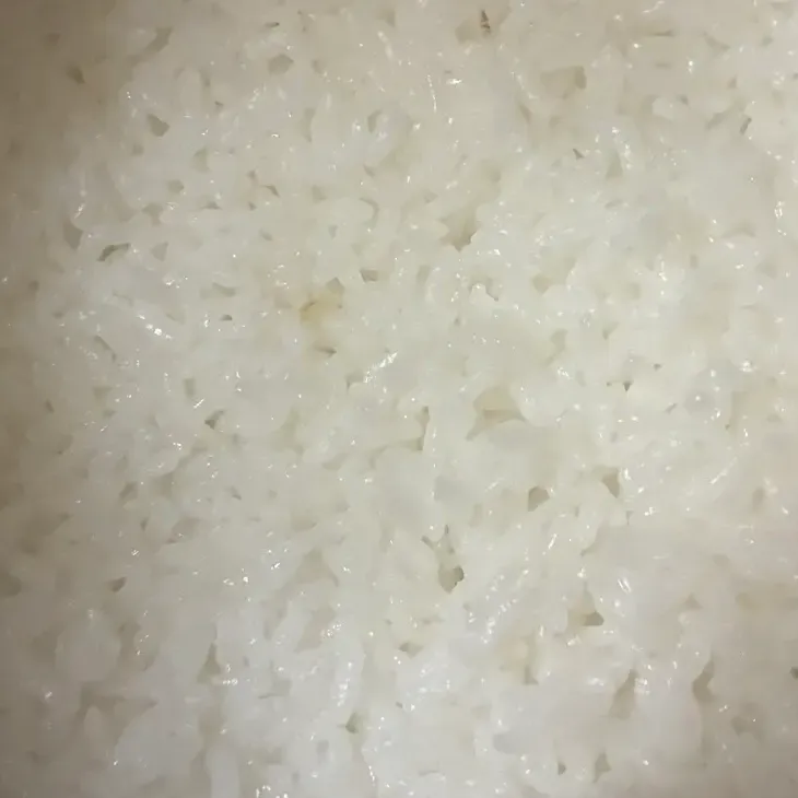 【精米したて】令和7年産福島県産天のつぶ　白米20kg
