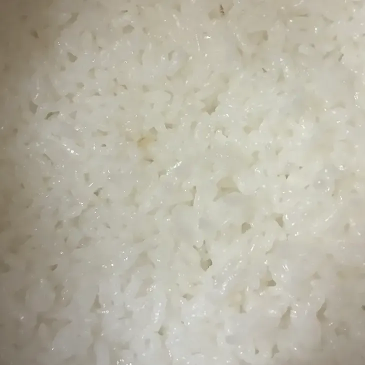 【精米したて】令和7年産福島県産天のつぶ　白米5kg