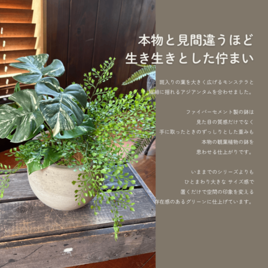 【光触媒コーテイング】斑入りモンステラとアジアンタムのフェイクグリーンポット