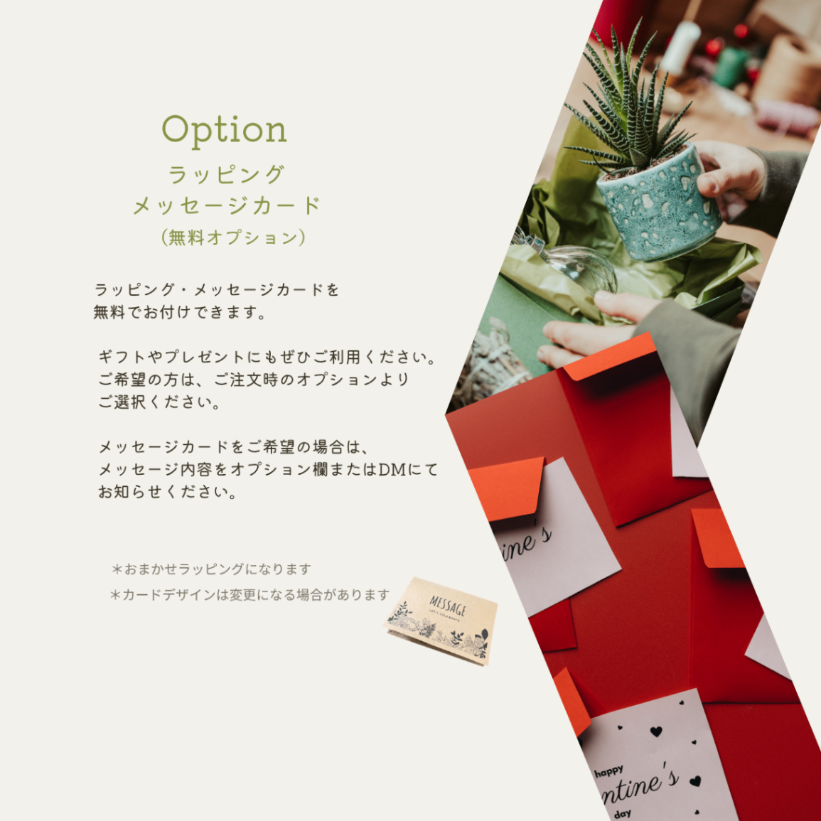 【光触媒コーテイング】斑入りモンステラとアジアンタムのフェイクグリーンポット