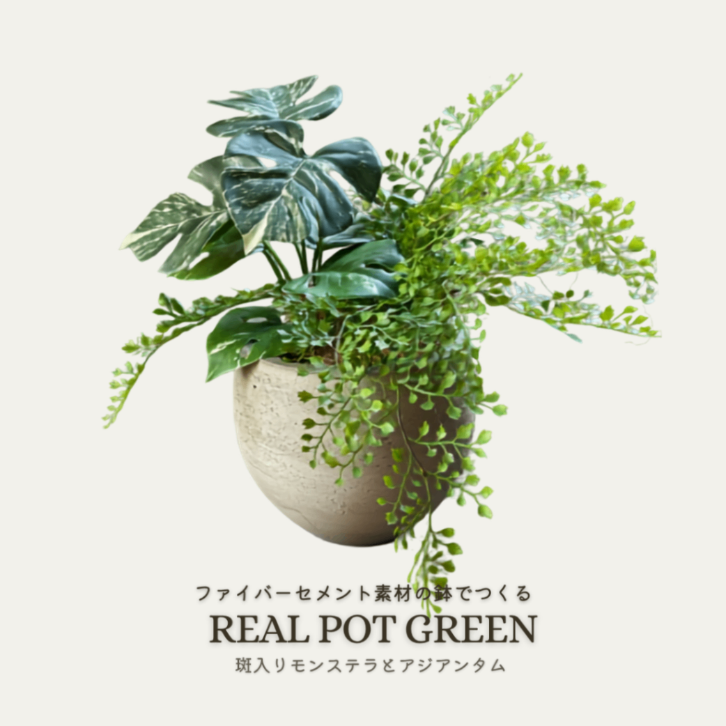 【光触媒コーテイング】斑入りモンステラとアジアンタムのフェイクグリーンポット