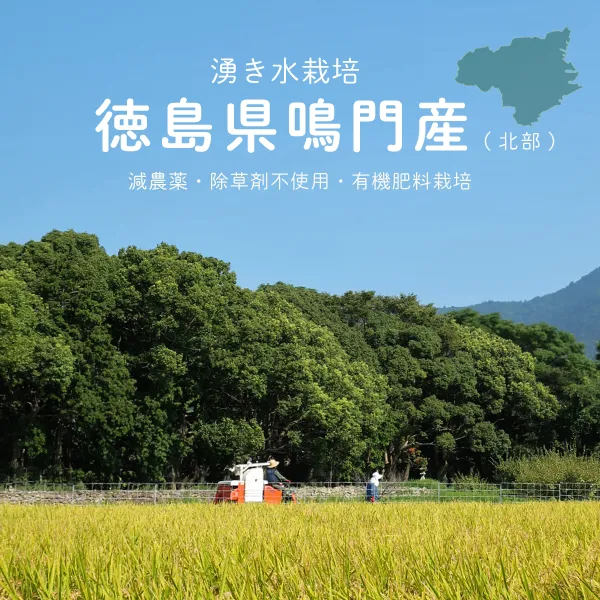 R8新米 あきさかり 玄米10kg 精米OK 湧水育ち 減農薬 減化学肥料 徳島鳴門産 【秋の味覚】