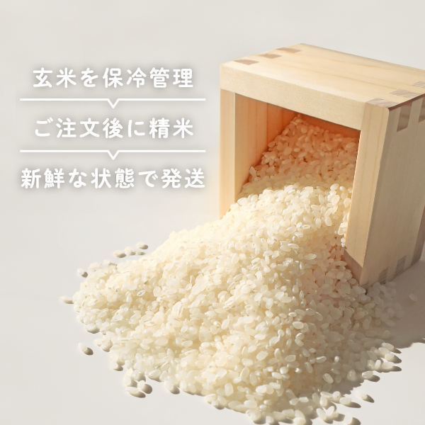 R8新米 あきさかり 玄米20kg 精米OK 湧水育ち 減農薬 減化学肥料 徳島鳴門産 【秋の味覚】