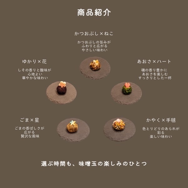 〈リベ友と共同開発🤝〉宮城から届ける “スゴイ味噌玉✨” 5個セット 【お中元・夏ギフト】