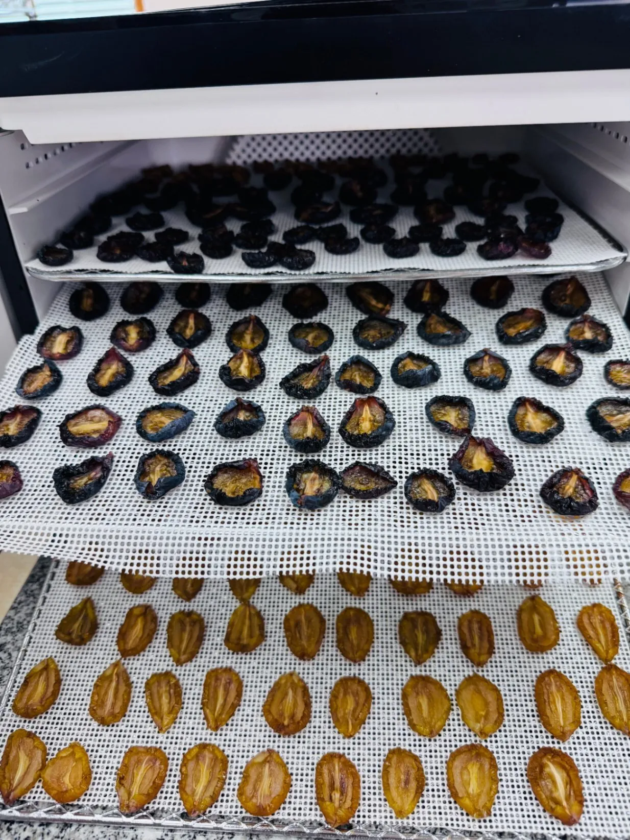 【秋の味覚】【お試しサイズ】農家直送 セミドライ葡萄 15g｜巨峰・シャインマスカットの自然な甘み🍇