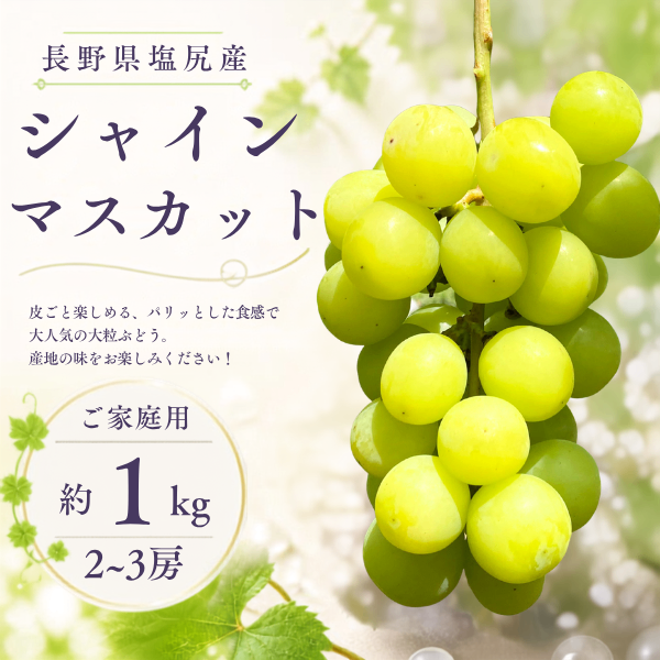 【秋の味覚】🍇朝採りシャインマスカット🍇約1kg信州塩尻産（ご家庭用）
