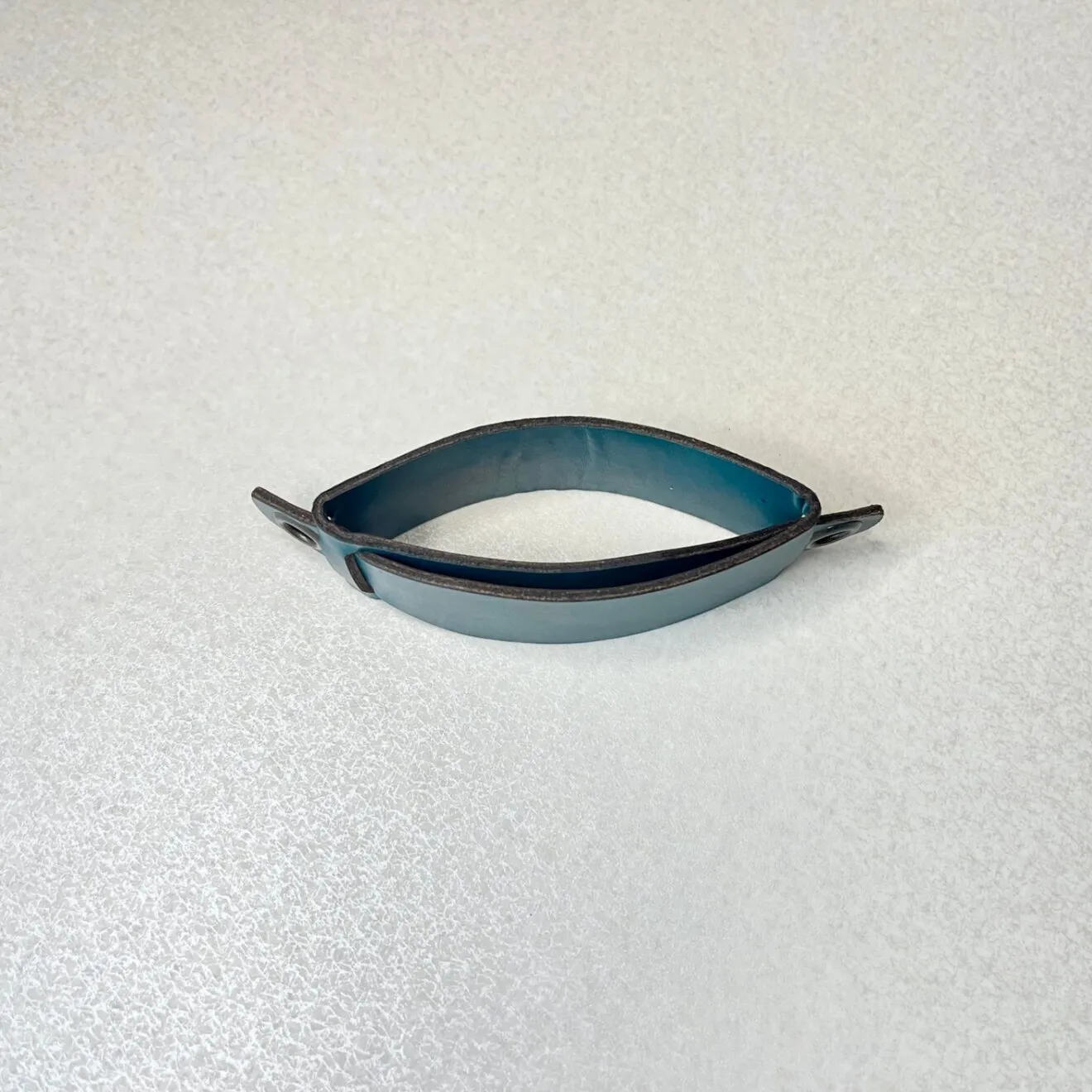 【ハンドメイド】小金持ち山を登る体づくりの相棒に｜本革シェーカーホルダー ザバス対応 パラコード付き