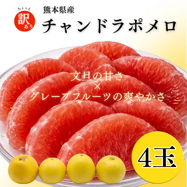 熊本県産 チャンドラポメロ 4玉