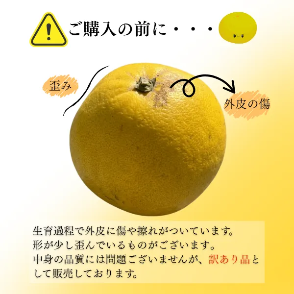 熊本県産 チャンドラポメロ 4玉