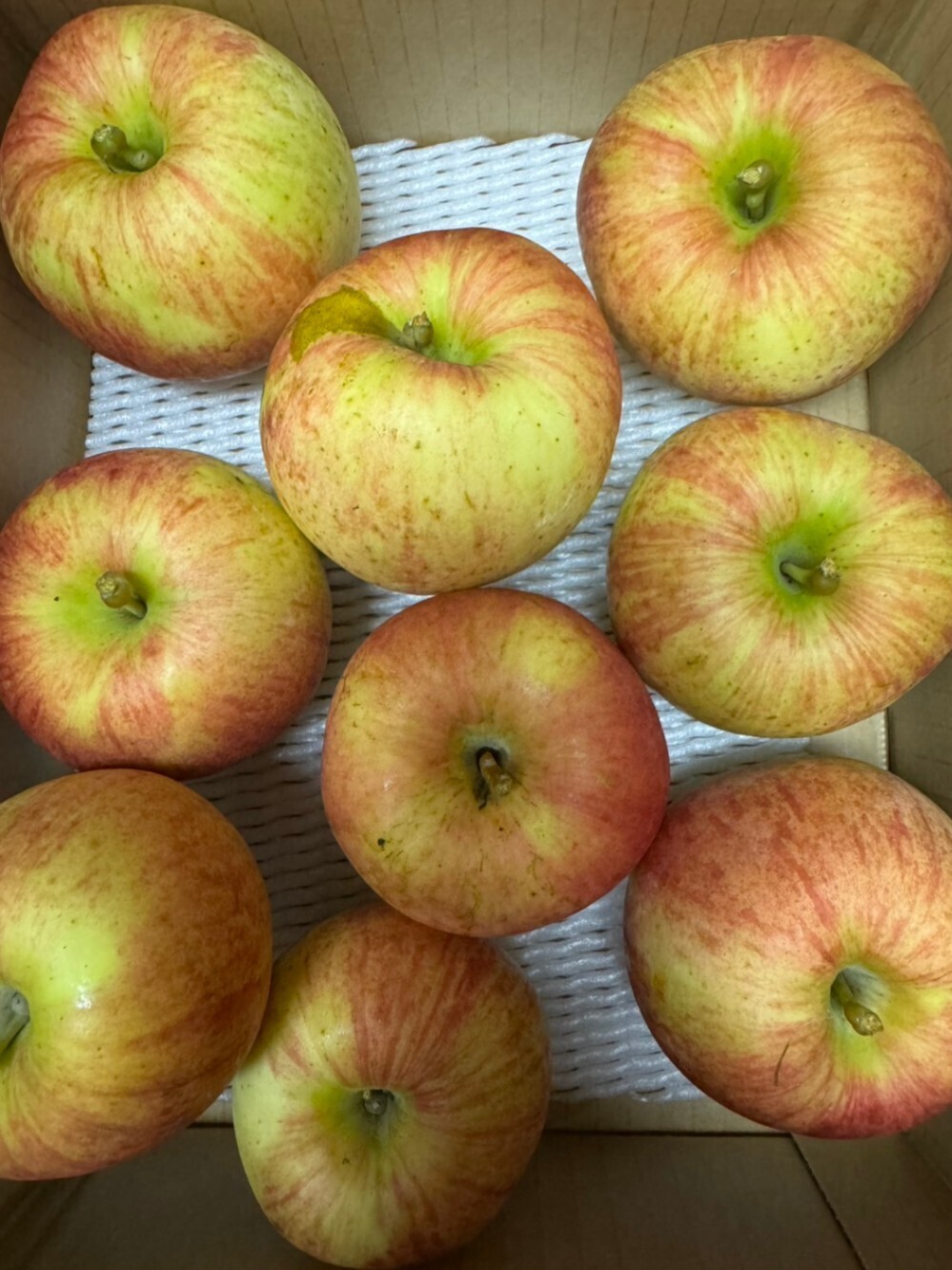 【訳あり・家庭用】【山形県東根産】葉とらずつがるりんご 3kg 中玉12前後｜甘酸っぱくやわらかめ