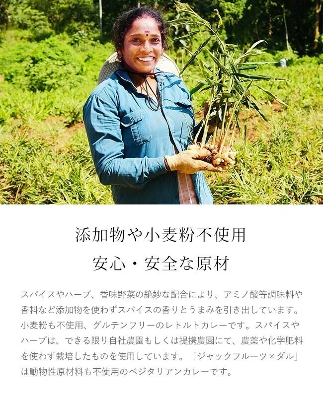 【1箱で2種＋チャツネ】カレーの壺 レトルトカレー｜チキン辛口×ひよこ豆マイルド｜小麦粉不使用