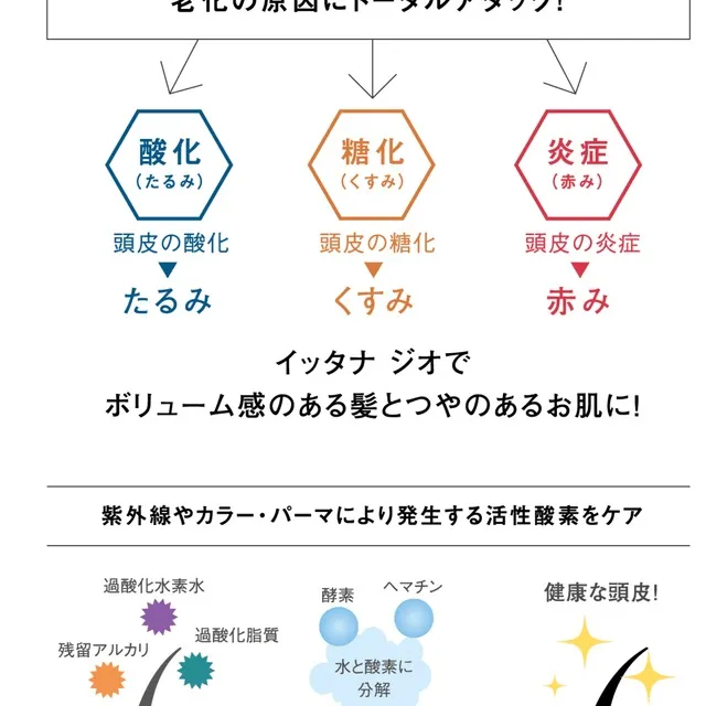 サラメンテ イッタナジオ 300ml【正規品】ヘアスキャルプ＆ボディ クレンジングローション