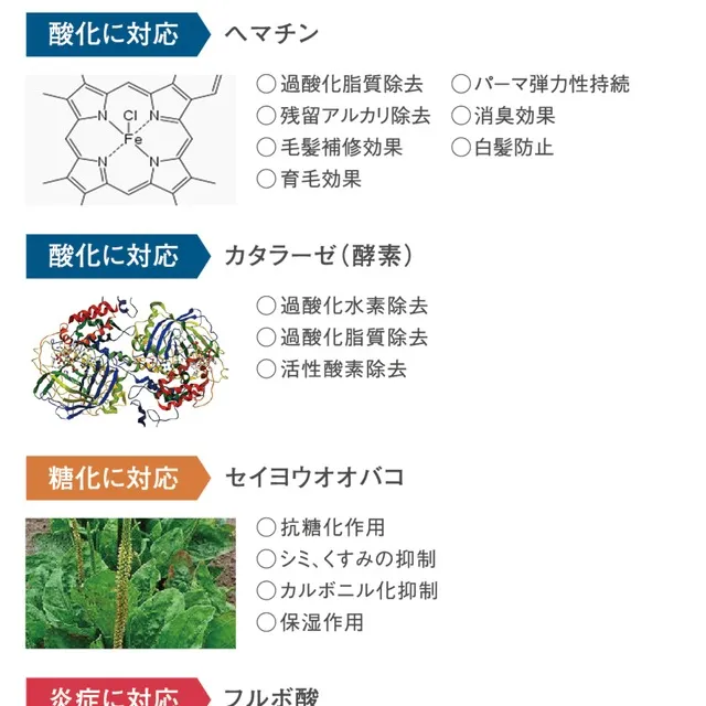 サラメンテ イッタナジオ 300ml【正規品】ヘアスキャルプ＆ボディ クレンジングローション