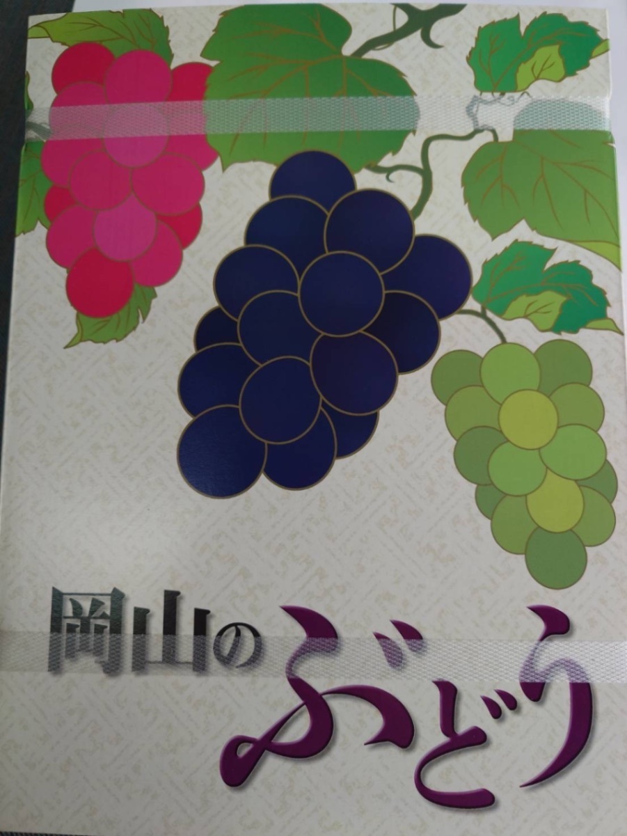 【ご注文から3日以内に発送】【秋の味覚】岡山県産ピオーネ 2kg（4房）贈答用 9月中旬で終了